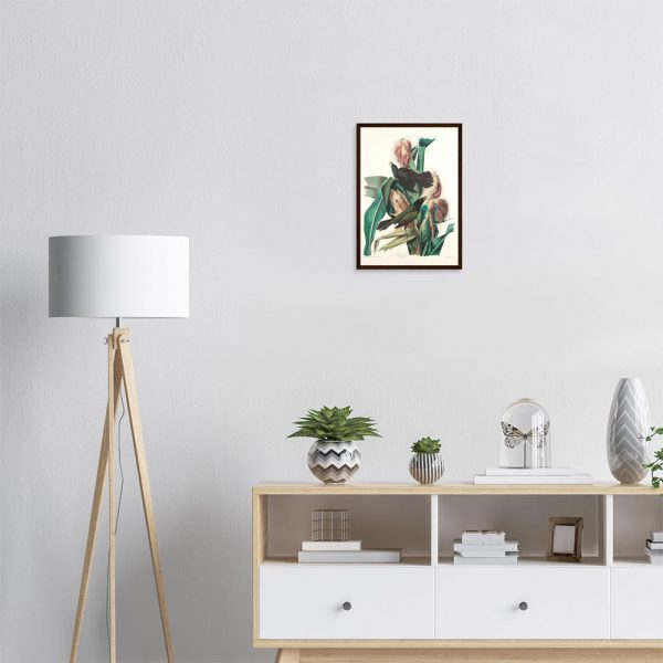 John James Audubon - Purple Grackle - -framed-poster-dark-wood-1