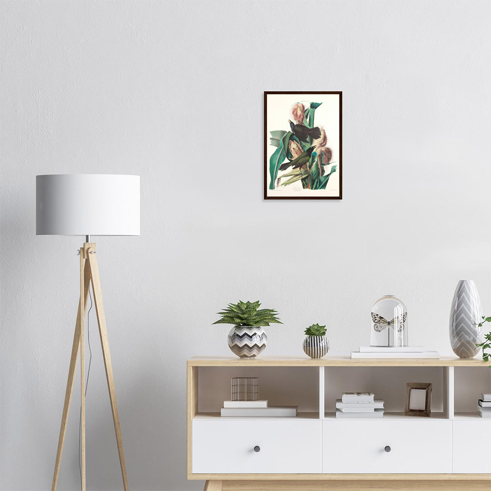 john-james-audubon-purple-grackle-framed-poster-dark-wood-1 John James Audubon - Purple Grackle - -framed-poster-dark-wood-1