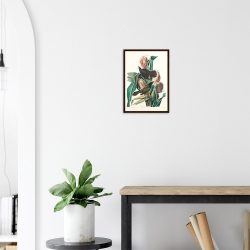 John James Audubon - Purple Grackle - -framed-poster-dark-wood-2