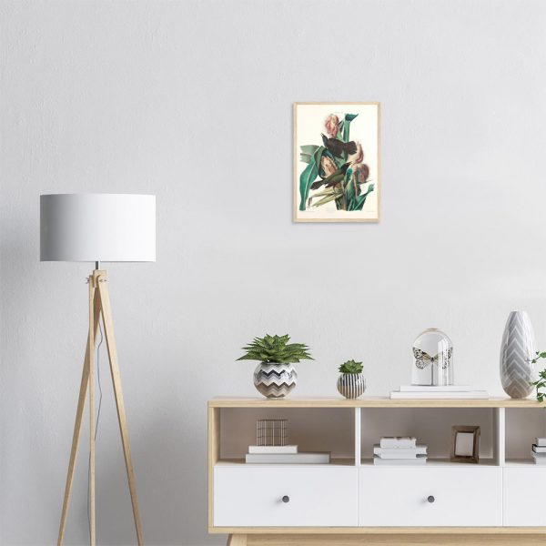 John James Audubon - Purple Grackle - -framed-poster-wood-1